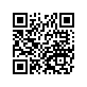 410801131