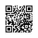 410801445 Disc, Rr (option)
