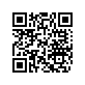 410922961 BOLT
