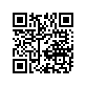 41100-08FL0-019 Frame (black)