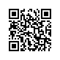 41100-24F21-YAP FRAME