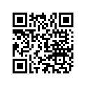 41133 SCREEN