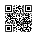 41137-ZY1-010 WASHERC