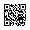 41151-HL4-A01 Shim A (1.3)