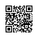 41154-HL4-A01 SHIM D (1.6)