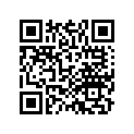 41155-HL4-A01 SHIM E (1.7)