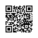 41251-HL4-A01 Shim A (1.3)