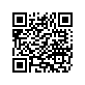 4132 SCREW,HEXSOCKETBUTTON