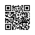 41451-HL4-A00 Shim E (0.88)