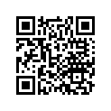41453-HL4-A00 Shim G (1.00)