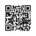 41454-HL4-A00 Shim H (1.06)