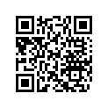 414581300 Clavette *key