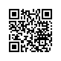 415093805 Bague *ring-stop