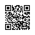 415129377 Foam Filter