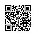 415129509 O-Ring