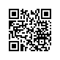 417005290 Rampe *ramp