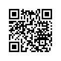 417126555 Rondelle *washer