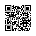 417126878 CIRCLIP