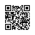 417222362 Slider Shoe