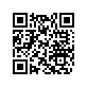 417222444 Ramp 600