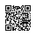 417223021 Slider Shoe