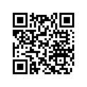 417223271 Slider Shoe