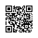 417223604 Ramp 700