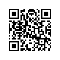417223679 Rampe 735