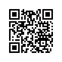 417223919 Slider Shoe
