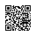 417224326 Ramp 990