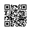 417224694 Pin Ramp