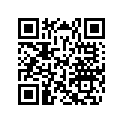 417300001 Attache *bracket