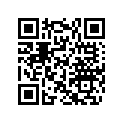 420227155 Rondelle *washer
