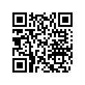 420230921 O-Ring