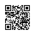 420232431 Needle Pin