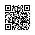 420232745 Bearing_Needle