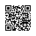 420245370 Rondelle *washer