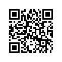 420246055 Woodruff Key