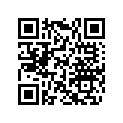 420248331 Index Lever