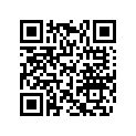 420250407 O-Ring