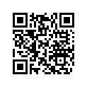 420253983 Shim 2.75
