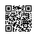 420254033 Shim 2.475