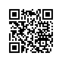 420254038 Shim 2.725