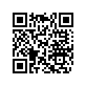 420254039 Shim 2.775