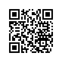 420256802 Oil Sipstick