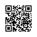 420281293 Slider Shoe