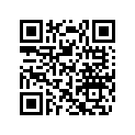 420297063 Silent Chain