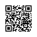 420297067 Silent Chain