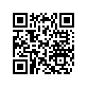 420430040 O-Ring