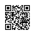 420481165 Gear Set